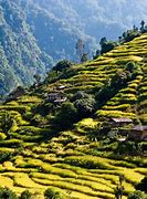 Image result for Terracing in Mountains in Singapore