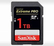 Image result for 1TB Memory Card