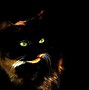 Image result for Neon Cat Wallpaper Scary