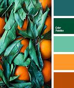 Image result for What the 4S Colors