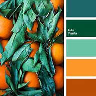 Image result for Green Color Scheme with Orange and Cyan