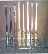 Image result for The First Ever Cat Baseball Bat
