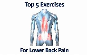 Image result for Chiropractor Pain Relief