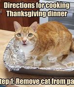Image result for Thanksgiving Memes Funny Cat