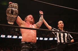 Image result for Chris Jericho Wrestling