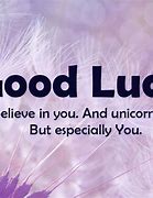 Image result for Funny Good Luck Quotes