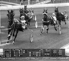 Image result for Springfield Harness Racing