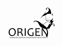 Image result for Origen Logo