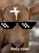 Image result for Holy Cow Meme
