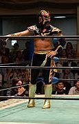 Image result for Ultimo Dragon Wrestler Holding Titles Belts