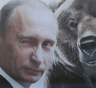 Image result for Putin White Bear