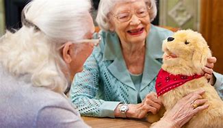 Image result for Robotic Pets for Dementia Patients