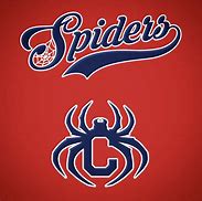Image result for Spider Gang Logo