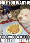 Image result for fun birthday parties memes