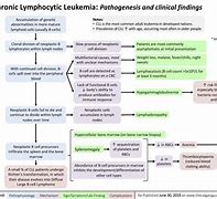 Image result for Chronic Lymphocytic Leukemia Pathogenesis