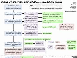 Image result for Etiology of Chronic Lymphocytic Leukemia