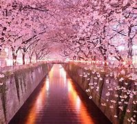 Image result for Osaka Beautiful Places