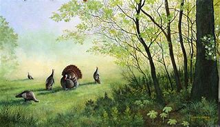 Image result for Turkey Hunting Computer Wallpaper