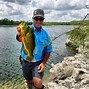 Image result for Florida Bass Fishing