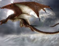 Image result for Wyvern Dragon Real