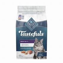 Image result for Blue Buffalo Dry Cat Food