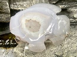 Image result for Geode Fish