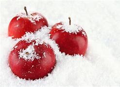 Image result for Red Apple with Snow