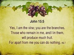 Image result for You Are the Vine I AM the Branch