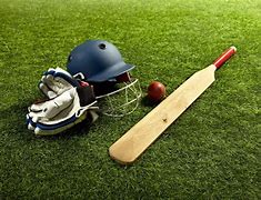 Image result for Cricket Field Stock Photography