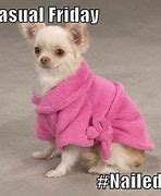 Image result for TGIF Meme Chihuahua