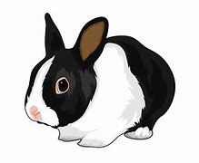 Image result for Rabbit Illustrator