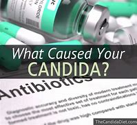 Image result for candida cause