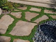 Image result for Stone with Moss Walkway
