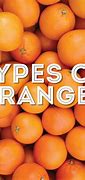 Image result for Different Types of Orange Fruit