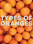 Image result for Orange Different Photos