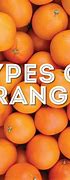 Image result for Orange Varieties