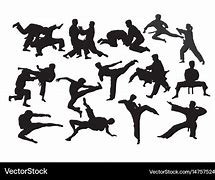 Image result for Sambo Martial Art