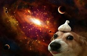 Image result for Galaxy Dog Drawing