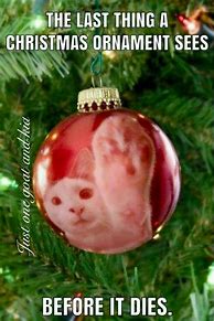 Image result for Last Thing a Christmas Ornament Sees