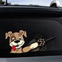 Image result for Funny Windshield Wiper Covers