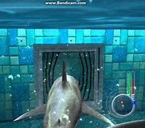 Image result for Orca 2 Jaws Unleashed