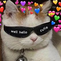 Image result for Cute Cat Love You Meme