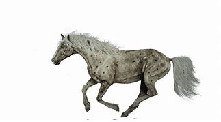 Image result for Horse Running Painting