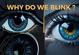 Image result for Why Do We Blink