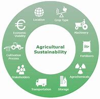 Image result for Sustainable Agriculture Model
