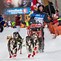 Image result for Dogsled Racing