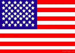 Image result for United States Flag Colors