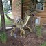 Image result for Pet Raptor Meme