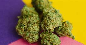 Image result for Candy Pebbles Strain