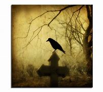 Image result for Dark Gothic Art Witch Raven